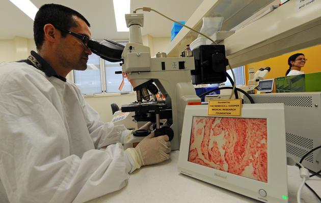 Un microbiologiste observe des échantillons dans un microscope [Torsten Blackwood / AFP/Archives]
