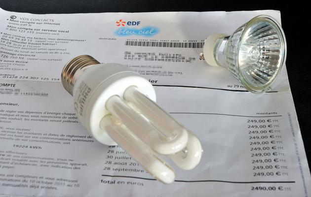 Des ampoules basses consommation [Philippe Huguen / AFP/Archives]