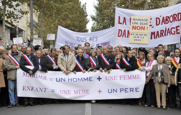 Manifestation contre le mariage homosexuel, le 17 novembre 2012 à Marseille [Gerard Julien / AFP]