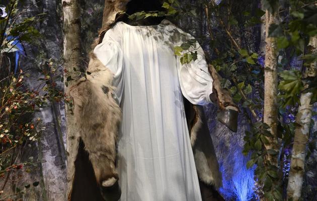 Le costume de Peau d'âne présenté à la rétrospective consacrée à Jacques Demy, le 8 avril 2013, à la Cinémathèque de Paris [Bertrand Guay / AFP]