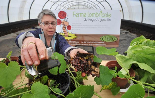 Gwénola Picard cofondatrice de la ferme lombricole près de Josselin (Bretagne), le 2 mai 2013 [Frank Perry / AFP]