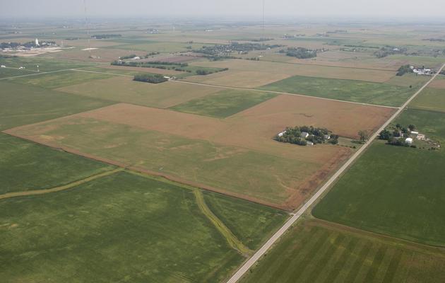 Des champs de maïs desséchés, dans l'Iowa, le 28 août 2012 [Saul Loeb / AFP/Archives]