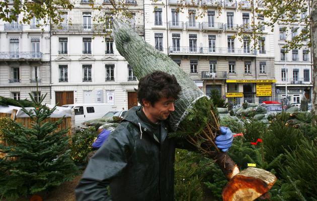 Vente de sapins de Noël le 9 décembre 2006 à Lyon [Fred Dufour / AFP/Archives]