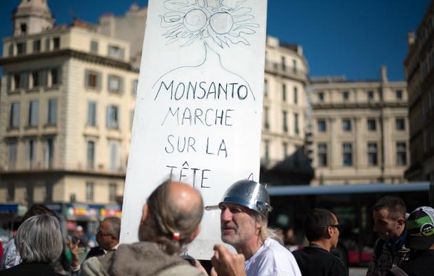 Manifestation contre les OGM à Marseille le 12 octobre 2013 [Bertrand Langlois / AFP/Archives]