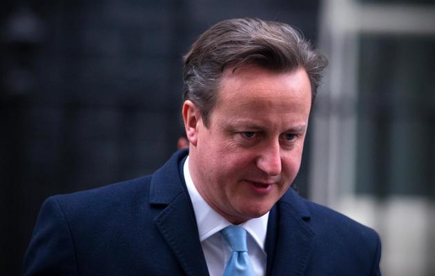 Le Premier ministre britannique David Cameron le 22 janvier 2014 à Londres [Carl Court / AFP/Archives]
