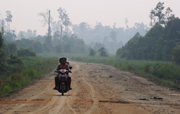 Une route conduisant à une forêt partiellement brûlée et couverte de fumée, dans la province de Riau, en Indonésie, le 29 juin 2013 [Romeo Gacad / AFP/Archives]