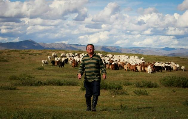 Tsogtsaikhan Orgodol, un nomade mongol, le 12 septembre 2013 dans la province de Selenge, dans le nord de la Mongolie [Byambasuren Byamba-Ochir / AFP/Archives]