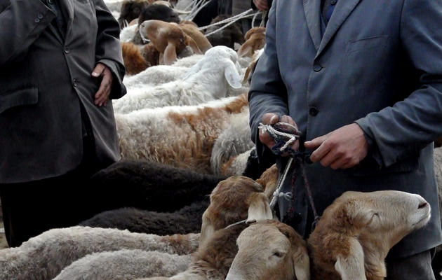Des Ouïghours rassemblent leurs moutons au bazar de Hotan, le 7 novembre 2013 [Carol Huang / AFP]