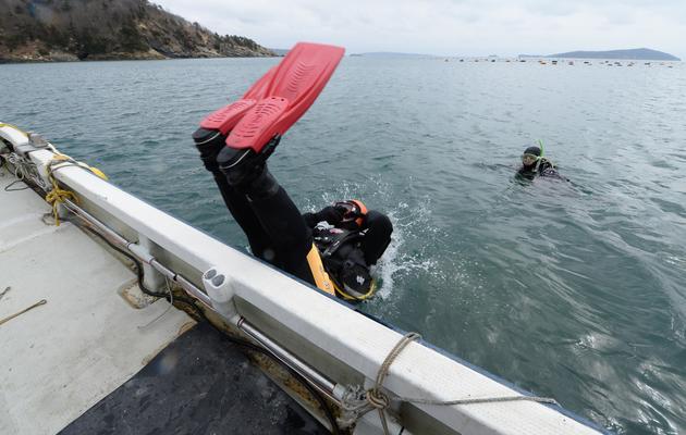 Yasuo Takamatsu (C) plonge dans la mer, le 2 mars 2014 à Onagawa, sur la côte est du Japon, pour tenter de retrouver sa femme disparue dans le tsunami il y a trois ans [Toru Yamanaka / AFP]