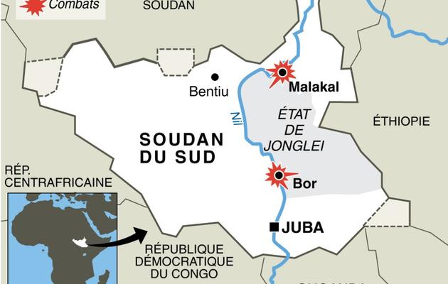 Carte localisant les combats dans l'Etat de Jonglei au Soudan du Sud  [ / AFP]