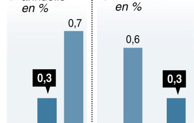 Graphique montrant la croissance française, de 0,3% sur l'année 2013 [P. Pizarro / A. Bommenel / AFP]