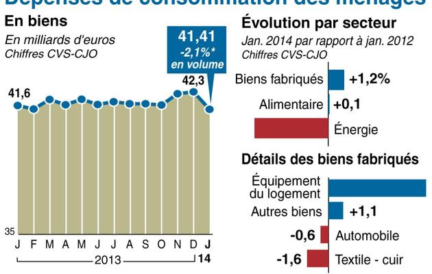 Evolution mensuelle de la consommation des ménages et par secteur de janvier 2013 à janvier 2014 [ / AFP]