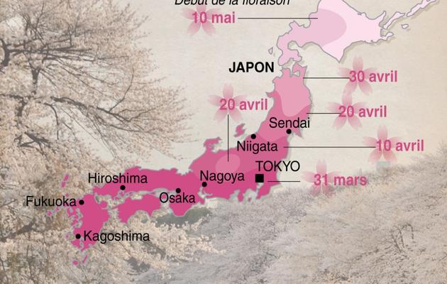 Graphique des dates de floraison des cerisiers dans plusieurs villes du Japon [Hongkong / AFP]