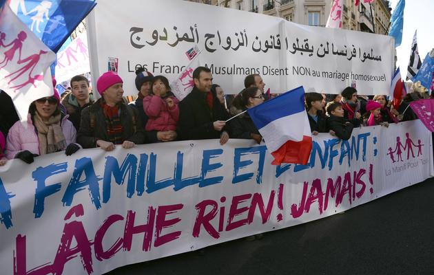 Manifestants contre l'ouverture de la procréation médicalement assistée (PMA) aux couples de femme et la gestation pour autrui (GPA), le 2 février 2014 à Paris [Eric Feferberg / AFP]