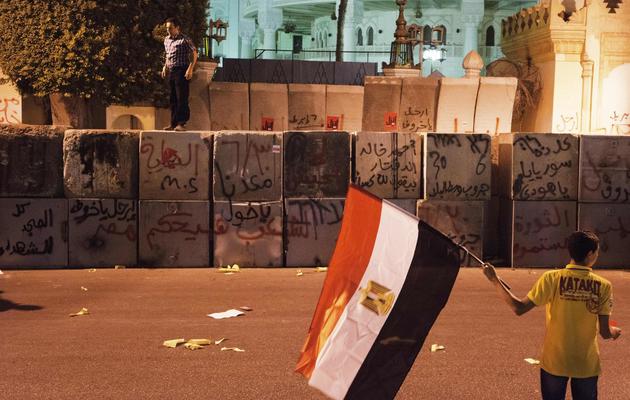 Un manifestant porte le drapeau égyptien devant le palais présidentiel, au Caire, le 29 juin 2013 [Gianluigi Guercia / AFP]