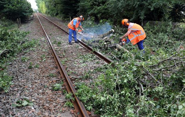 Des employés de la SNCF dégagent les branches d'arbre tombées sur des rails, le 27 juillet 2013 près de Pauillac [Nicolas Tucat / AFP]