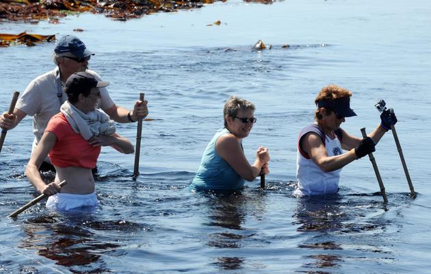 Des randonneurs traversent la mer de l'îlot de Triélen à l'île de Molène le 22 août 2013, dans le finistère [Fred Tanneau / AFP]