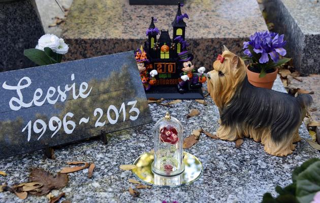 La tombe d'un chien au cimetière d'Asnières-sur-Seine, le 23 octobre 2013 [Bertrand Guay / AFP]