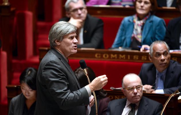 Stéphane Le Foll le 20 novembre 2013 à l'Assemblée nationale à Paris [Eric Feferberg / AFP]
