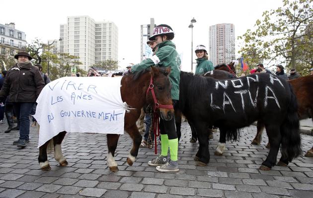 Des manifestants contre la hausse de la TVA dans les centres équestres, le 24 novembre 2013 à Paris [ / AFP]