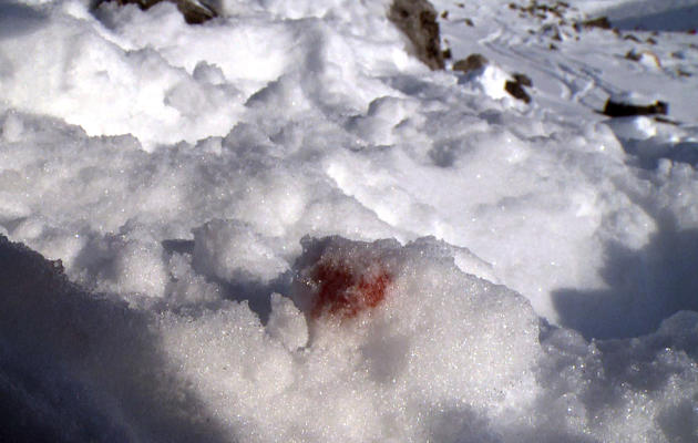 Capture d'écran d'une vidéo AFPTV tournée le 31 décembre 2013, montrant le sang de Michael Schumacher sur les lieux de son accident de ski, à Méribel  [Guillaume Bonnet / AFP/Archives]