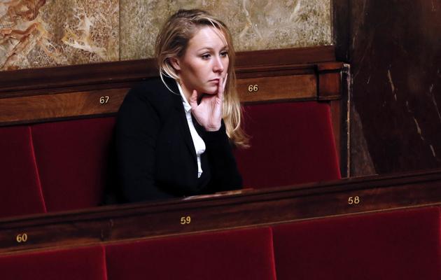 La députée FN Marion Marechal Le Pen le 14 janvier 2014 à l'Assemblée nationale à Paris [Patrick Kovarik / AFP/Archives]