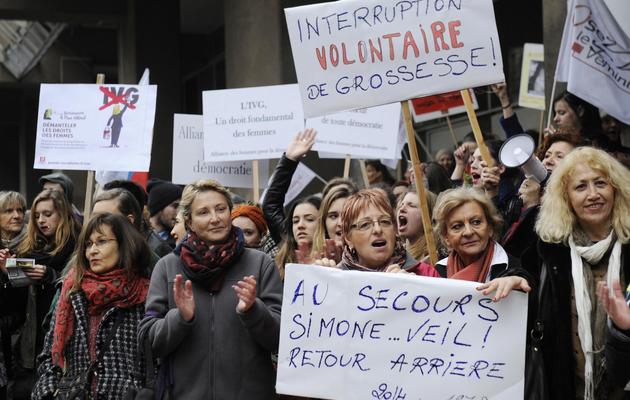 Manifestation de soutien au droit à l'avortement en Espagne, le 1er février 2014 à Marseille [Franck Pennant / AFP]