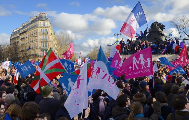 Des manifestants lors de la "manif pour tous" le 2 février 2014 à Paris [Eric Feferberg / AFP]