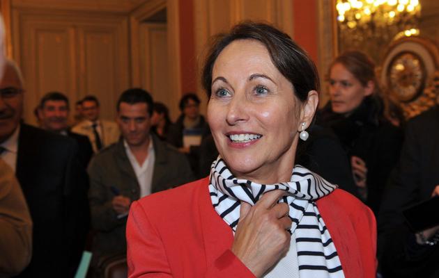 Segolène Royal, la nouvelle ministre de l'Ecologie, de l'Energie, à Poitiers le 3 avril 2014 [Guillaume Souvant / AFP]