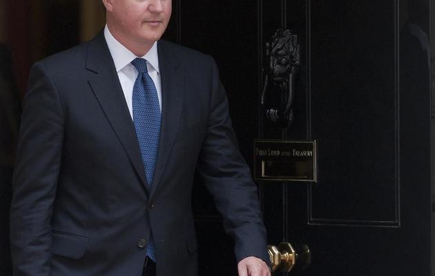 Le Premier ministre britannique David Cameron, le 14 juin 2013 à Londres [Will Oliver / AFP]