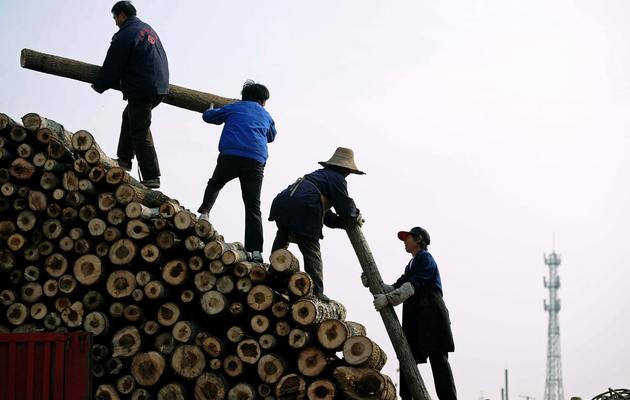 Des Chinois forment un tas de troncs d'arbres sur un marché du bois à Hefei, le 24 novembre 2012 [ / AFP]
