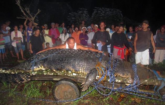 Des villageois posent à côté de Lolong, le 4 septembre 2011, lors de la capture du crocodile géant, soupçonné d'avoir dévoré un pêcheur et une fillette dans le sud des Philippines [ / AFP]