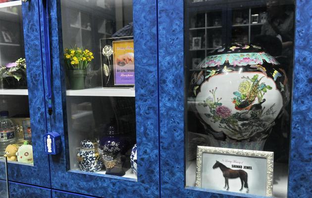 Des urnes pour recevoir les cendres du fidèle compagnon ou de son animal favori, dans un crématoire spécial de Singapour, le 31 janvier 2013 [Roslan Rahman / AFP]