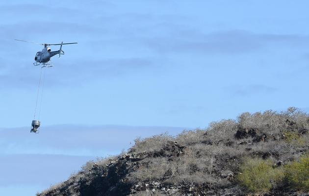 Un hélicoptère répand du poison pour éliminer les rongeurs au-dessus de l'île Pinzon, dans l'archipel des Galapagos, le 8 décembre 2012 [Rodrigo Buendia / AFP]