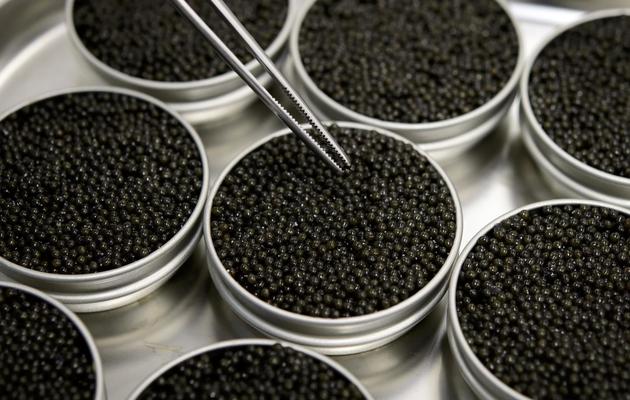 Des boites remplies de caviar, le 8 novembre 2012 [Fabrice Coffrini / AFP/Archives]