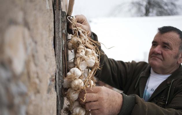 Un villageois accroche des gousses d'ail à une fenêtre, à Zarozje, en Serbie le 3 décembre 2012 [Dalibor Danilovic / AFP]