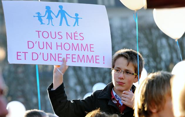 Manifestation à Lille contre le mariage gay le 8 décembre 2012 [Phillipe Huguen / AFP]