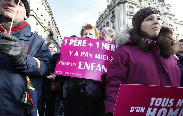 Manifestation contre le mariage homosexuel à Paris, le 2 février 2013 [Francois Guillot / AFP]