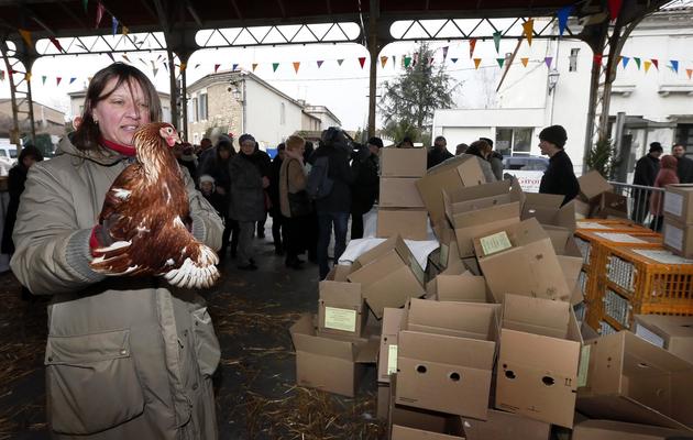 Des poules sont distribuées le 23 février 2013 à des habitants de Barsac dans le cadre d'un projet de réduction des déchets [Patrick Bernard / AFP]
