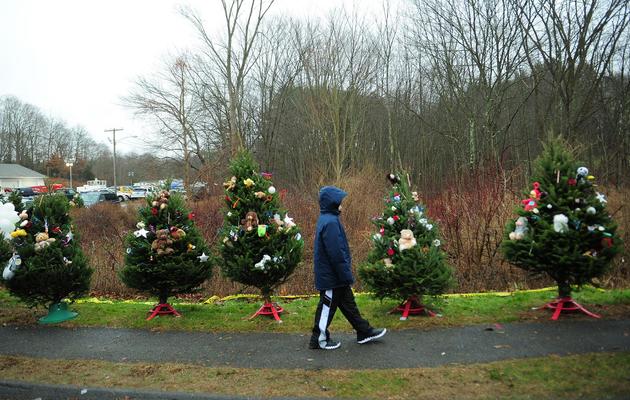 Un enfant passe devant des arbres de Noël en hommage aux victimes de la fusillade de Newton, le 16 décembre 2012 [Emmanuel Dunand / AFP]