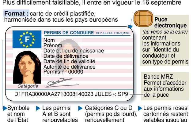 Infographie sur le nouveau permis de conduire [ / AFP]